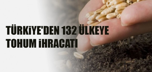 Türkiye’den 132 ülkeye tohum ihracatı