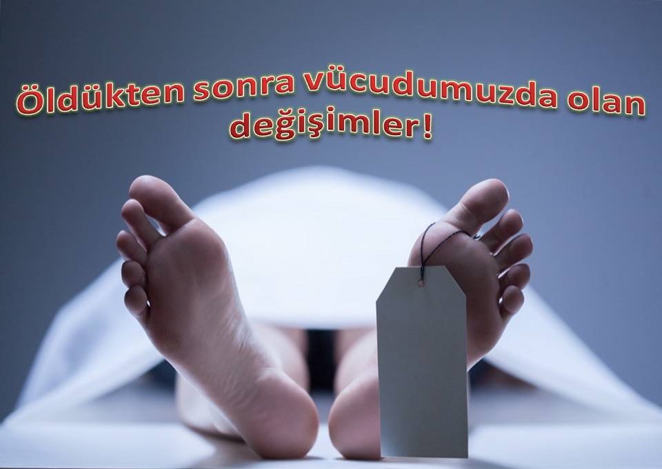  Öldükten sonra vücudumuzda olan değişimler!