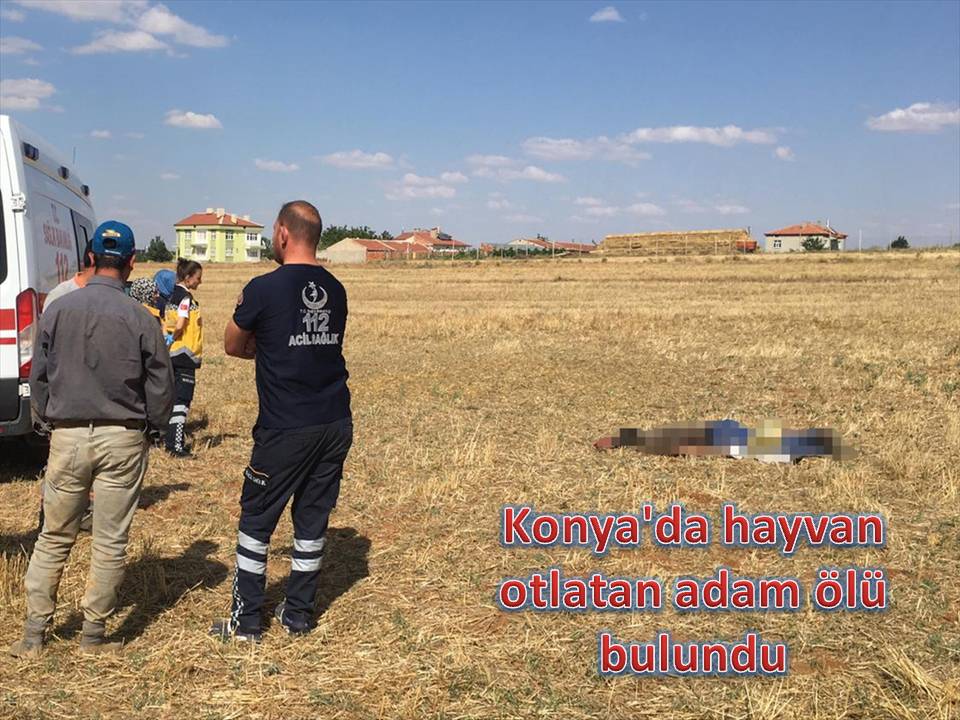 Konya'da hayvan otlatan adam ölü bulundu