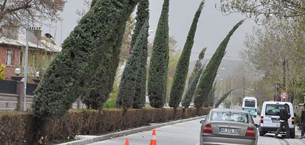 DİKKAT: 4 İLDE RÜZGAR VE FIRTINA UYARISI 