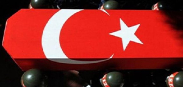 Hakkari'de İki Özel Harekat Polisi Şehit Oldu 