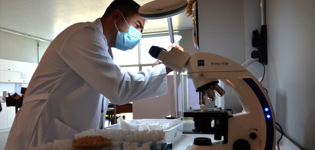 Yerli ve Milli Tohumlar Dışa Bağlılığı Bitirecek