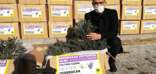 Derebucak Belediyesi,İlçede Lavanta Kokusunu Artırmak İçin Çalışıyor