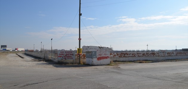 Ilgın Hayvan Pazarında Şap Karantinası