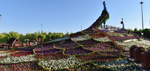   Selçuklu Çiçek Bahçesi Rengarenk