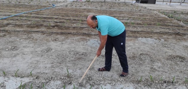 Karapınar Belediyesi, İlçeye Hobi Bahçeleri Kazandırdı
