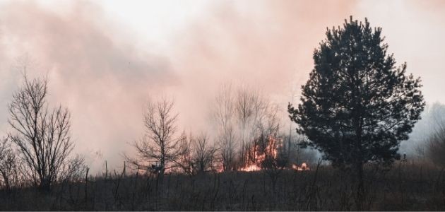 ORMAN YANGININA AÇIKLAMA!