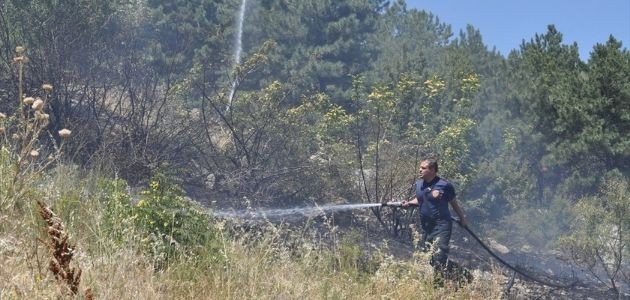 Konya Akşehir'de Orman Yakınında YANGIN!