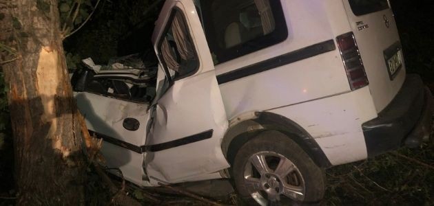 KAMYONETLE AĞACA ÇARPAN SÜRÜCÜ HAYATINI KAYBETTİ