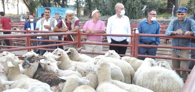  Emirgazi'den Manavgat'taki Hayvan Yetiştiricilerine Yardım  
