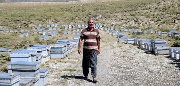 BAL İÇİN ARILARIYLA 30 YILDIR GEZİYOR