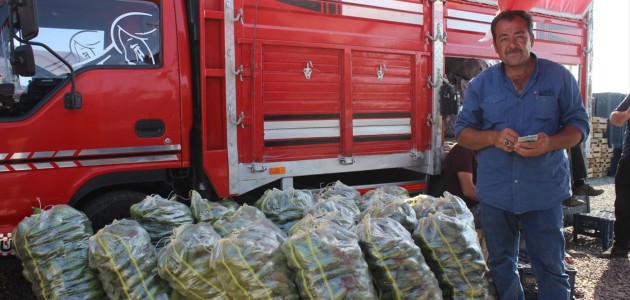  KARAPINAR'DAN YURT DIŞINA KAVUN İHRACATI