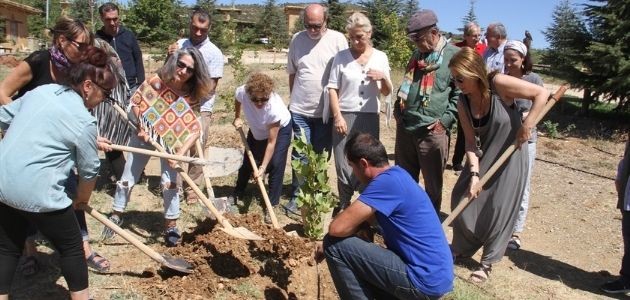 Ferhan Şensoy'un Adı Büyük Ustalar Çınarlığı'nda Yeşerecek