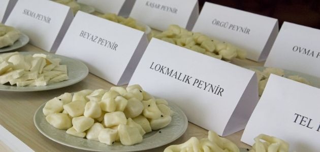 “KIRSALDA KADINA UMUT, TOPLUMA HAYAT PROJESİ” / PEYNİR ÜRETİMİ KURSU SERTİFİKA TÖRENİ