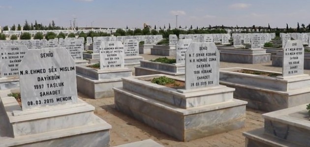  PKK ve YPG'nın çocuk mezarlığı ortaya çıktı!