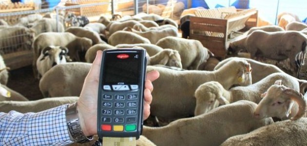  Kredi kartıyla kurban alınır mı? Diyanet' ten dikkat çeken açıklama