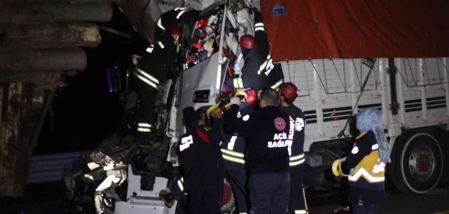  Konya'da kamyonun çarptığı bir kişi hayatını kaybetti