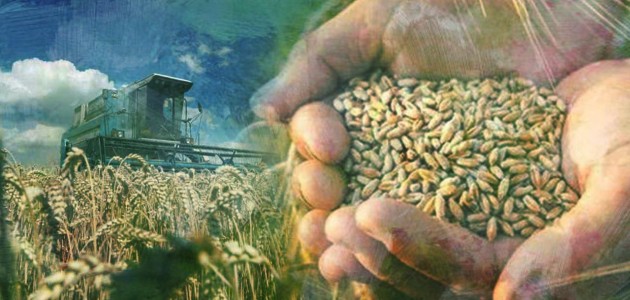  Dünya yeni krize sürükleniyor