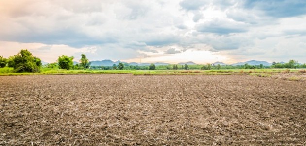  Konya'da  8 arsa satışa çıktı
