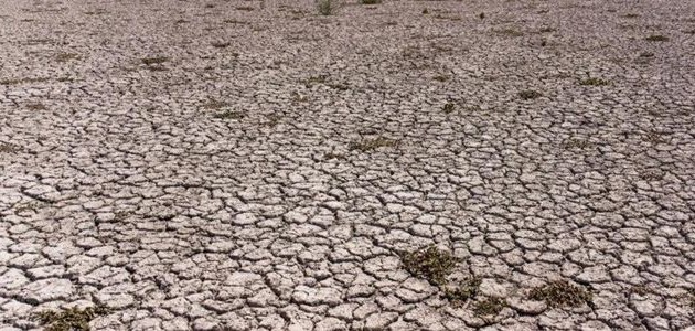  AKŞEHİR GÖLÜ RESMEN MERAYA DÖNDÜ!