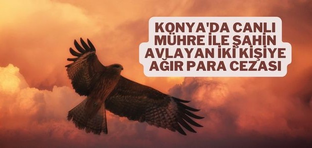  Konya'da canlı mühre ile şahin avlayan iki kişiye ağır para cezası