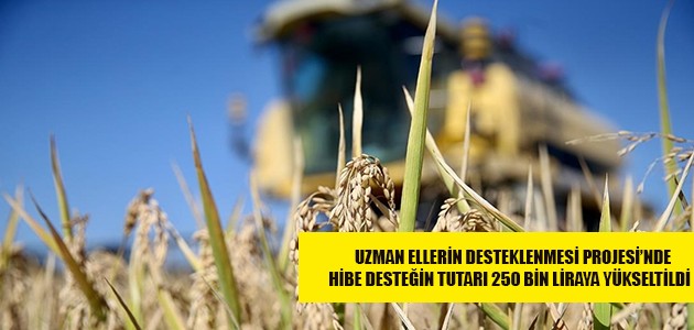  UZMAN ELLERİN DESTEKLENMESİ PROJESİ’NDE  HİBE DESTEĞİN TUTARI 250 BİN LİRAYA YÜKSELTİLDİ   
