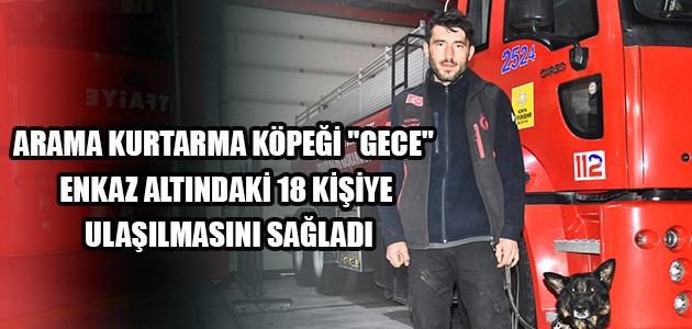  ARAMA KURTARMA KÖPEĞİ 