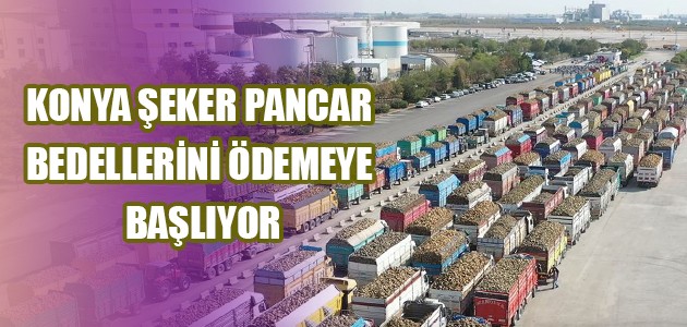 KONYA ŞEKER PANCAR BEDELLERİNİ ÖDEMEYE BAŞLIYOR