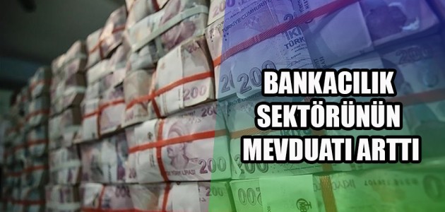BANKACILIK SEKTÖRÜNÜN MEVDUATI ARTTI