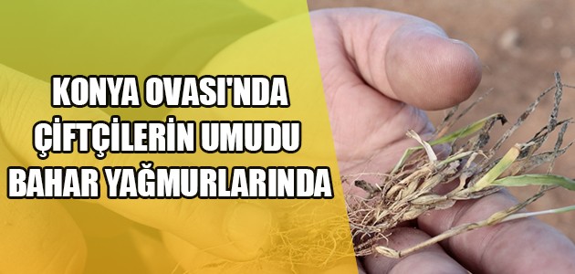 KONYA OVASI'NDA ÇİFTÇİLERİN UMUDU BAHAR YAĞMURLARINDA