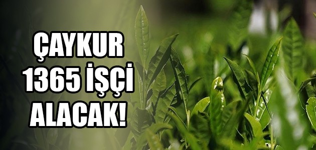 
ÇAYKUR 1365 İŞÇİ ALACAK!
