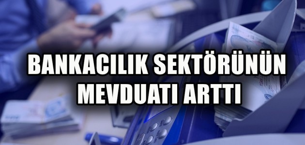BANKACILIK SEKTÖRÜNÜN MEVDUATI ARTTI