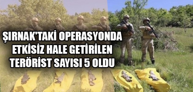 ŞIRNAK'TAKİ OPERASYONDA ETKİSİZ HALE GETİRİLEN TERÖRİST SAYISI 5 OLDU
