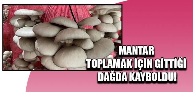 MANTAR TOPLAMAK İÇİN GİTTİĞİ DAĞDA KAYBOLDU!