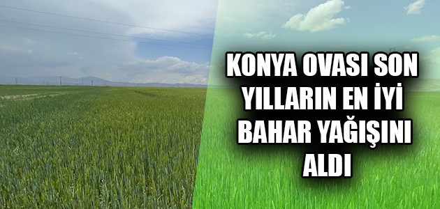 KONYA OVASI SON YILLARIN EN İYİ BAHAR YAĞIŞINI ALDI