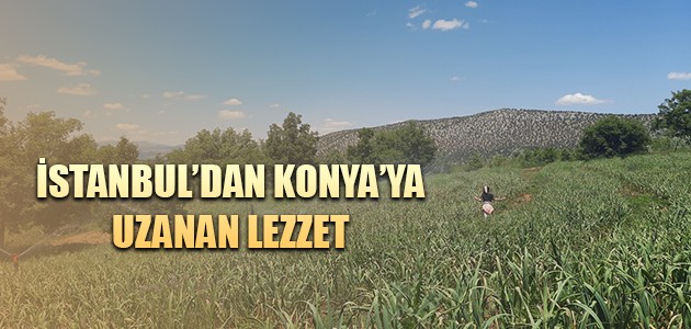  İSTANBUL'DAN KONYA'YA UZANAN LEZZET   