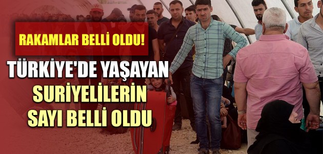 RAKAMLAR BELLİ OLDU! TÜRKİYE'DE YAŞAYAN SURİYELİLERİN SAYI BELLİ OLDU
