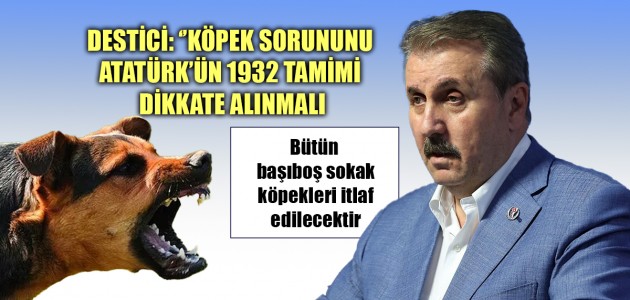  DESTİCİ: ‘’KÖPEK SORUNUNU ATATÜRK’ÜN 1932 TAMİMİ DİKKATE ALINMALI'' (Bütün başıboş sokak köpekleri itlaf edilecektir.)
