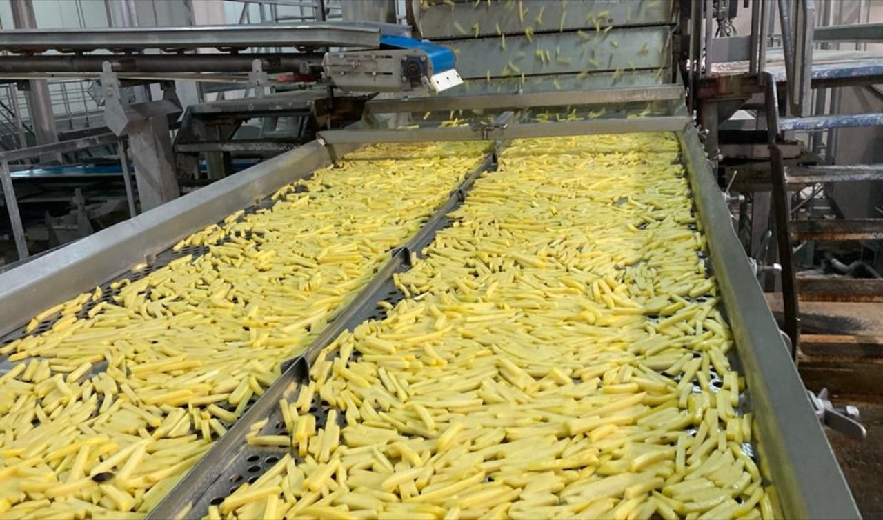 Konya’da Patates Kabukları Elektriğe Dönüştürülüyor