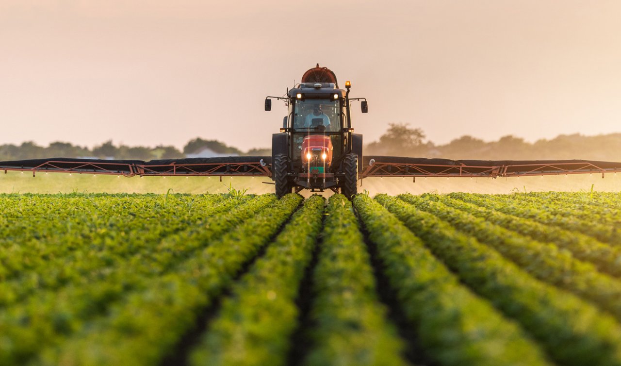 Tarım ve Orman Bakanlığı Açıkladı: Konya’da 87 kişi olmak üzere 1500 tarım işçisi alınacak 