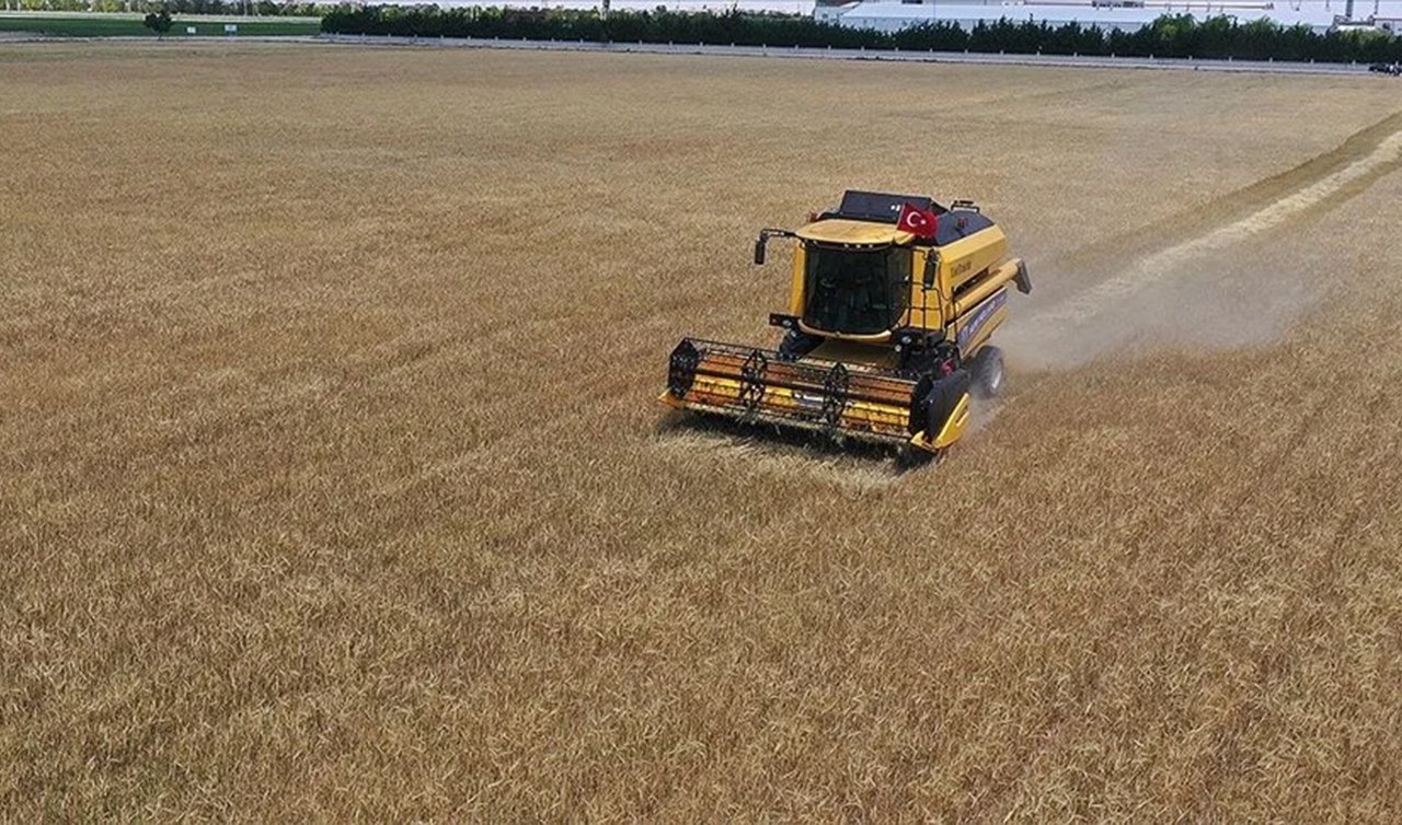  Konya’da buğday üretim verileri açıklandı! Türkiye geneli buğday üretimi 7,5 milyon hektara çıktı