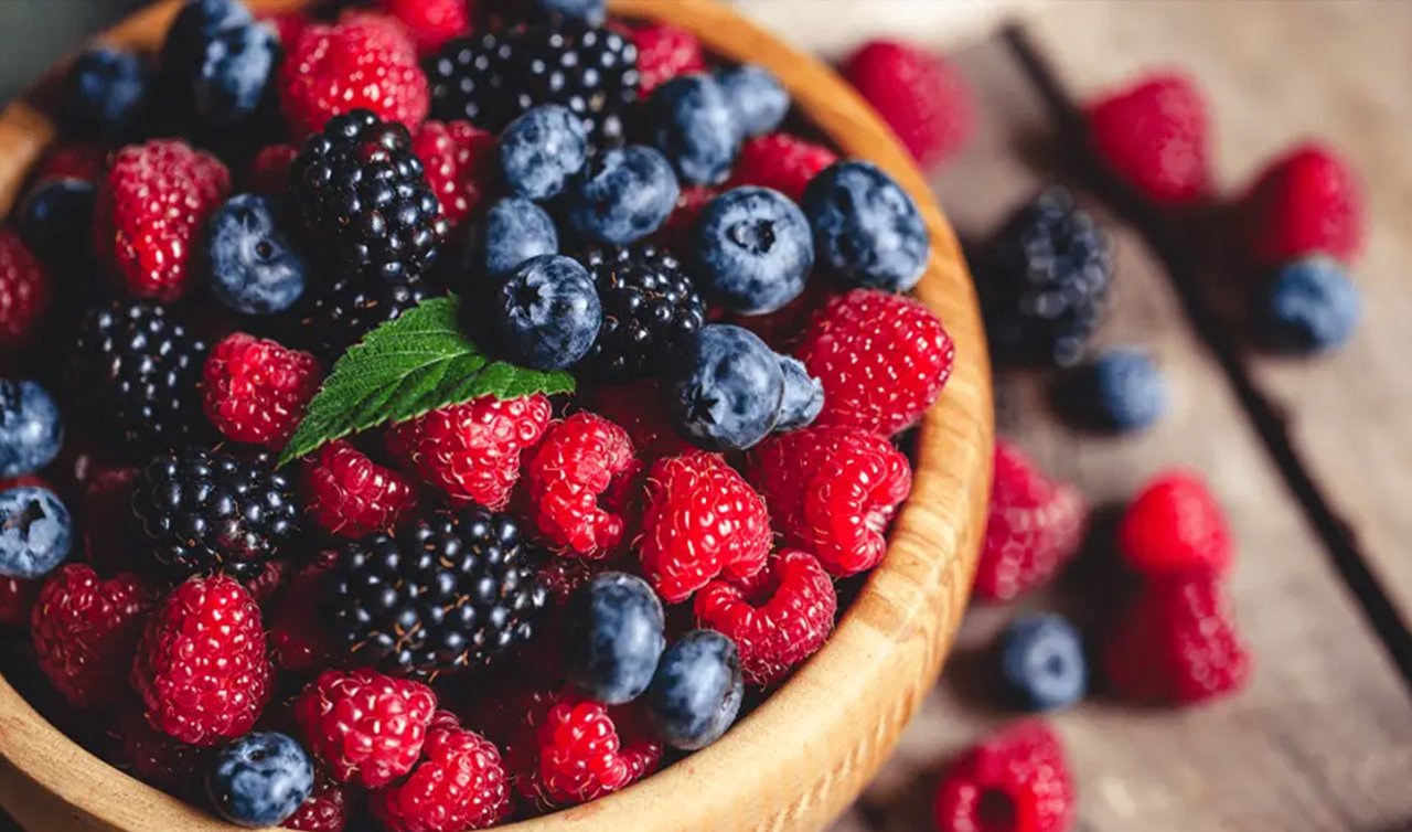 Konya’da yaygın olarak üretiliyor! 42 bin ücretsiz fidan dağıtılıyor