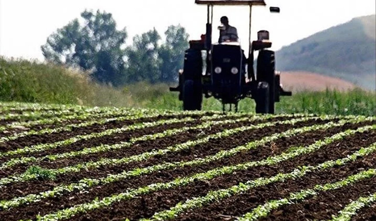 81 ilde yatırım yapacak girişimcilere toplam 66 milyon avro tutarında hibe verilecek