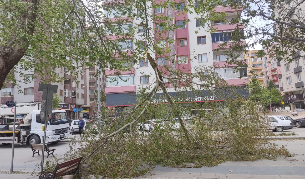 Konya’da kuvvetli rüzgar yoldaki ağacı devirdi! 