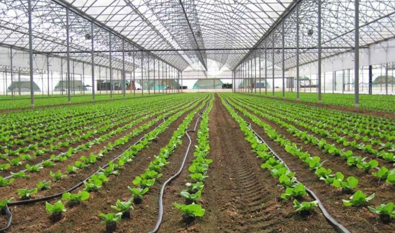 Çiftçilerin belediyelerden beklentisi nedir?