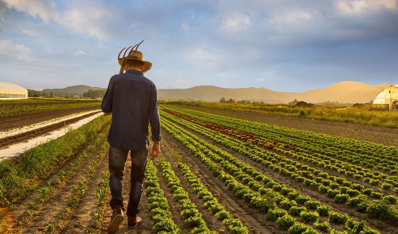 Konya Şeker çiftçiye 293 Milyon TL’lik nakdi ödeme yapıyor!