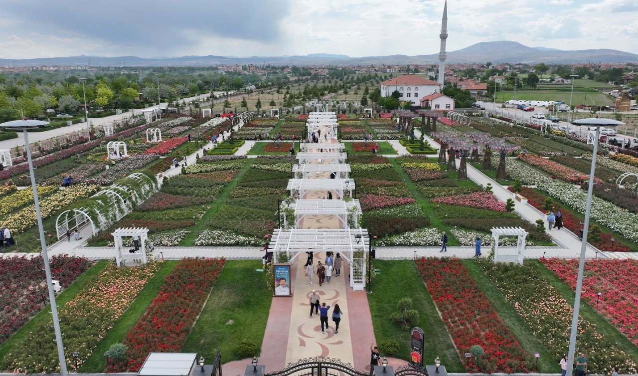  Konya’da gül kokusu yayılacak! Ziyaretçilerini bekliyor