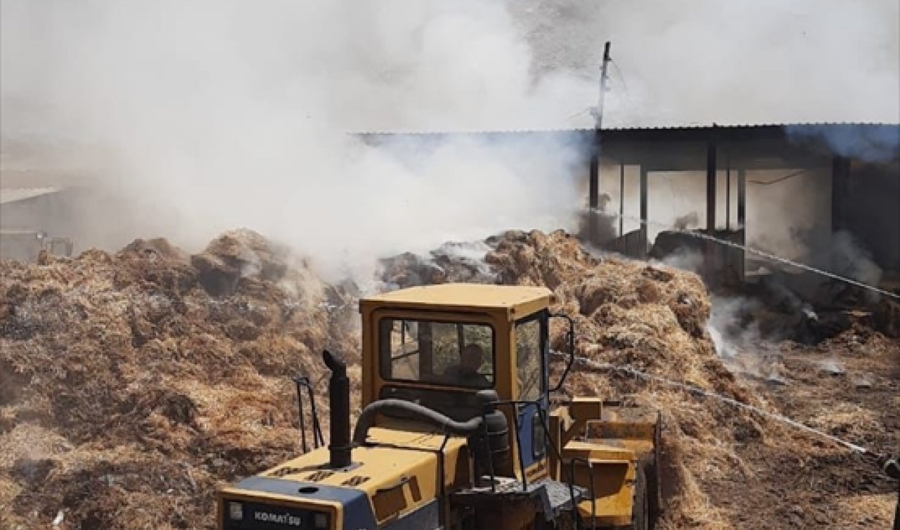 Konya’da yem çiftliğinde yangın!