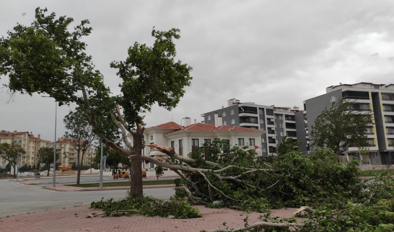 Konya’da ağaçlar otomobillerin üzerine düştü! O anlar kameraya yansıdı!