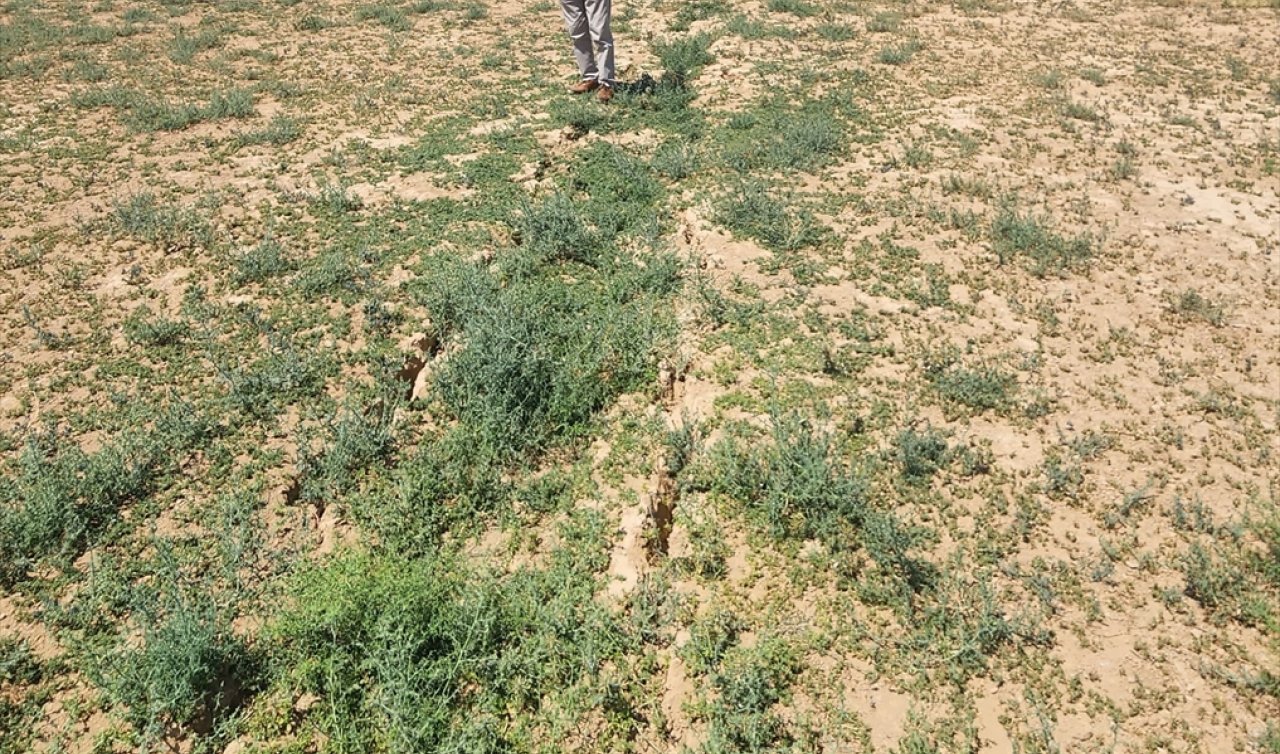 Konya Ovası’nda yeni tehlike! Obruktan sonra yarık tehlikesi!